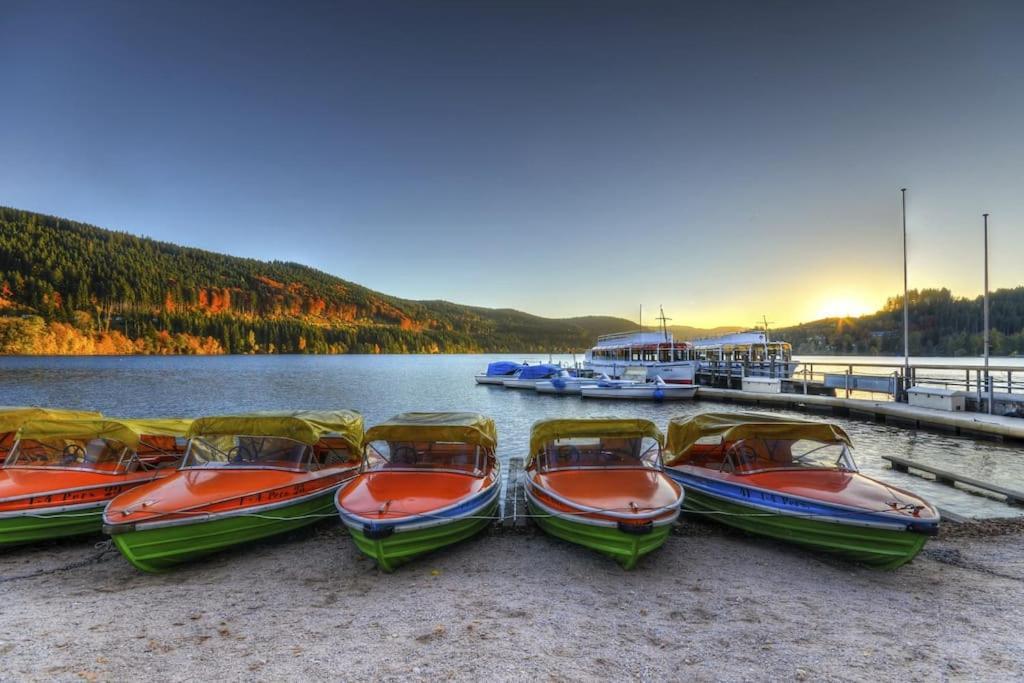 Waldoase Titisee 외부 사진